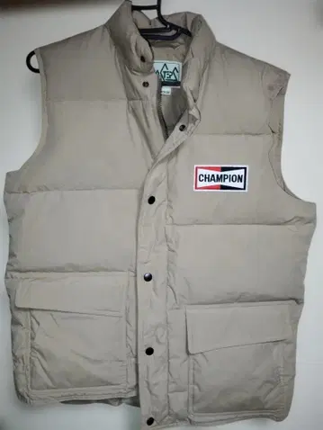 챔피온 플러그 다운 베스트 CHAMPION PLUG