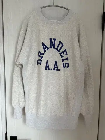 Champion 챔피온 2nd 페이턴트 리버스 위브