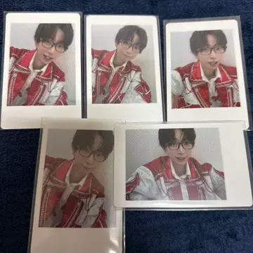 팬더 드래곤 나루키 하피카