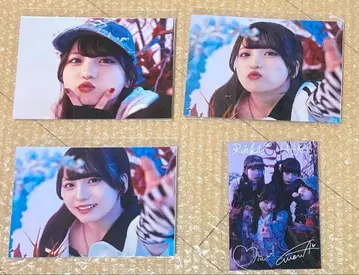 팬텀 시타 x REFLEM 모나