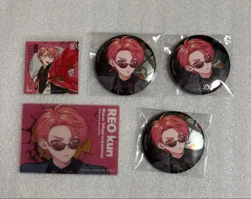 파라라이 6주년 레오 캔뱃지 특전