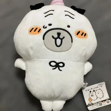 초레어! 나가노 캐릭터즈 퍼그 씨 축하 BIG 봉제 인형 택 포함