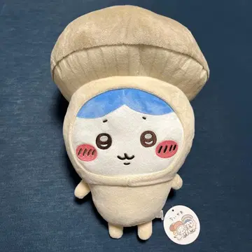 치이카와 (먼작귀) 버섯 인형옷 BIG 봉제 인형 하치와레