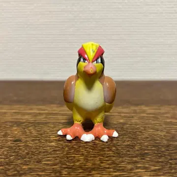 포켓몬 몬코레 초기 비둘기