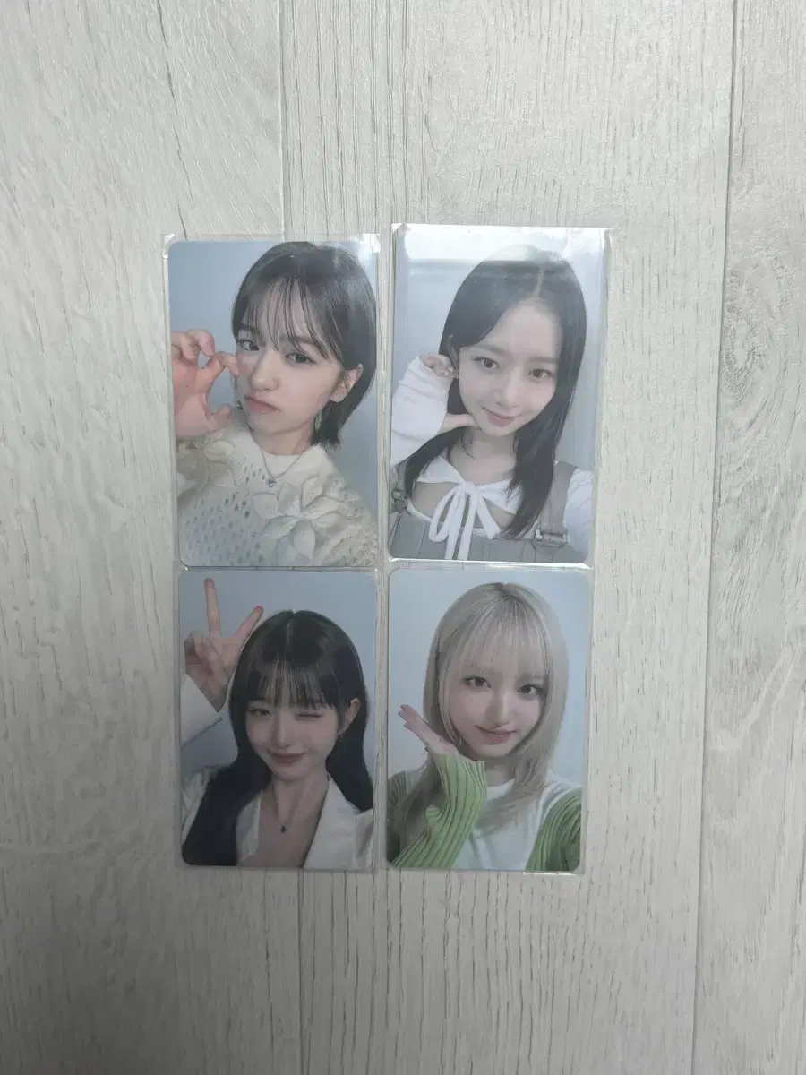 아이브 파파존스 포토카드