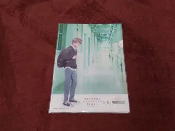 청춘 돼지시립대학 가나자와하치오키 캠퍼스 콜라보 오리지널 클리어 파일