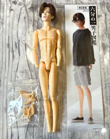 2 육분의 일 남자 도감 서점의 나인 본체만