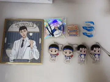 테니스의 왕자님 오오이시 슈이치로 색지 캔뱃지 아크릴 키링 세트