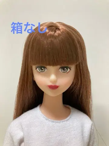 리카짱 캐슬 시온