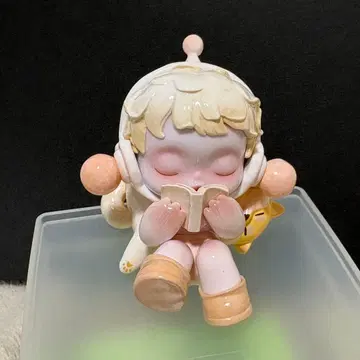 스컬팬더 온도 시리즈 Skullpanda