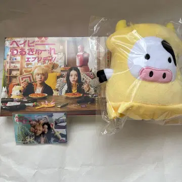 베이비  에브리데이! DVD 카세트 테레동 본점 특전 포함