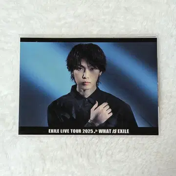 호리 나츠키 포토 카드 3종 세트 WHAT IS EXILE 3