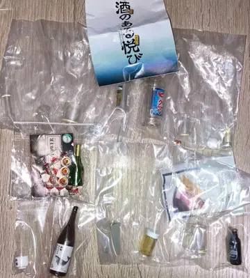 술의 기쁨 미니어처 컬렉션 리멘트 이치코 빅맨