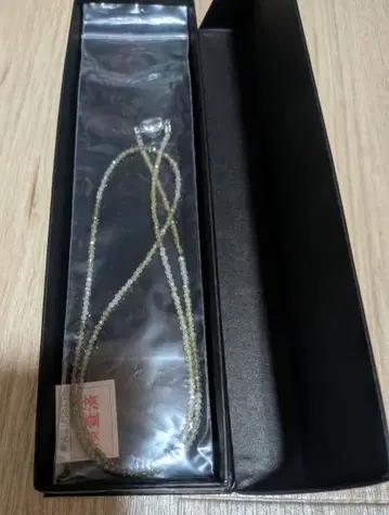 GSTV SILVER TOP GSV BOTTOM PATENT 목걸이