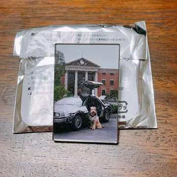 백투더퓨처 핀 배지 핀즈 돈키호테 한정판