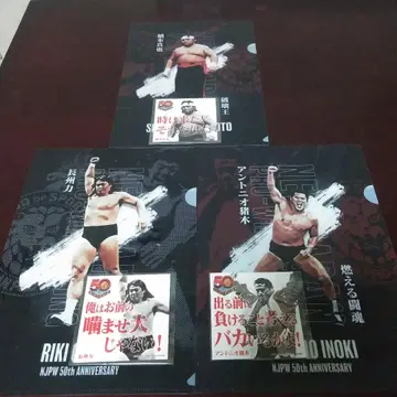 신일본 프로레슬링