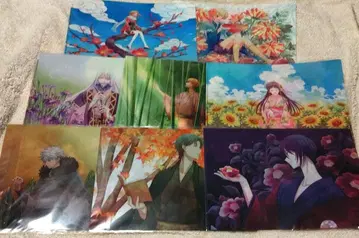 후르츠 바스켓 클리어 파일 8장