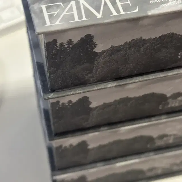 라이즈 페임 챔버 체임버 개봉 앨범 (포카 및 스티커 제외)