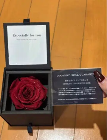 Lapisia의 오픈 하트 목걸이 다이아몬드 로즈 박스