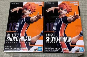 하이큐 프라이스 피규어 포징 히나타