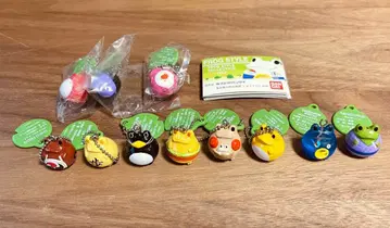 FROG STYLE 프로그스타일 컬렉션 VOL.9 11종 세트