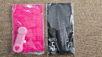 BEAST 비스트 응원봉 FAN MEETING IN JAPAN 2종