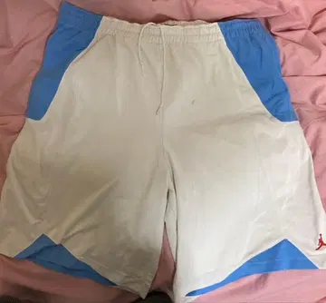 Jordan 숏팬츠 화이트/블루