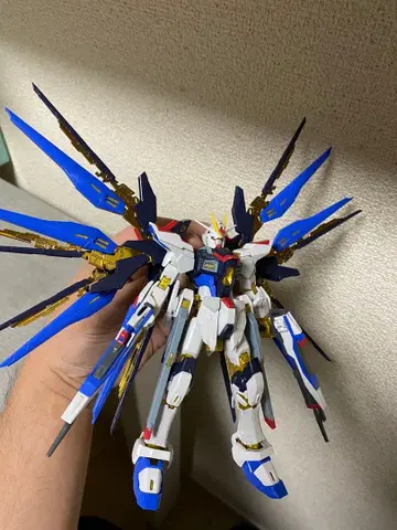 RG 스트라이크 프리덤 건담 천공의 날개 세트