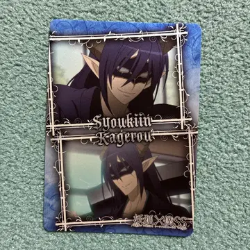 요호 x 나친적SS 아오니인 토카게 트레이딩 카드 이누보쿠