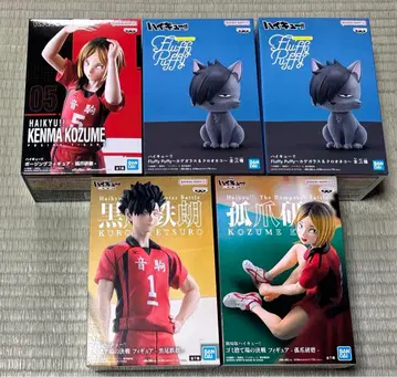 하이큐 프라이스 피규어 묶음 판매 네코마 쿠로오 코즈메 상자 데미지 있음