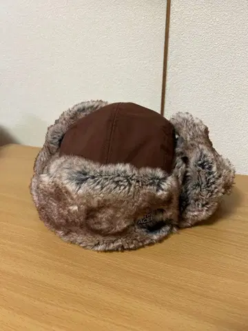 THE NORTH FACE 플라이트 캡