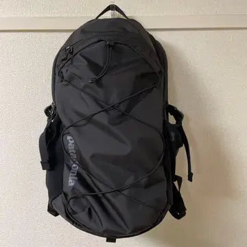 Patagonia 백팩 30L 블랙