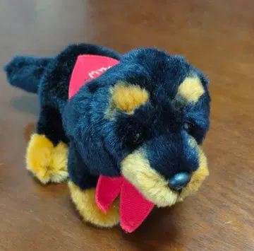 강아지 강아지 봉제 인형 미니어처 닥스