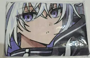 메테오라 멜트 군 픽처 타월 무도관 멜트