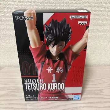 하이큐 쿠로오 테츠로 프라이스 피규어 포징