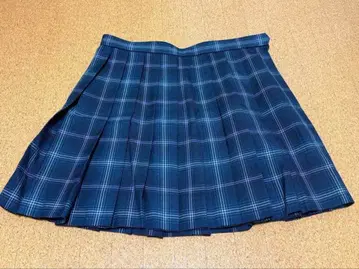 네이비 계열 체크 플리츠 스커트 아스카 미라이