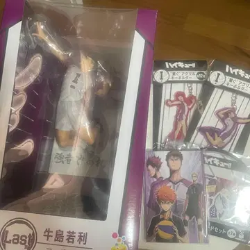 하이큐!! Happy 복권 라스트 원상 우시지마 와카토시