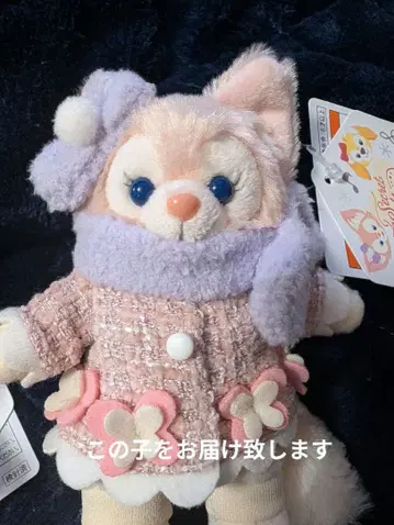 리나벨 시크릿 오브 스노우이 데이 누이바 a