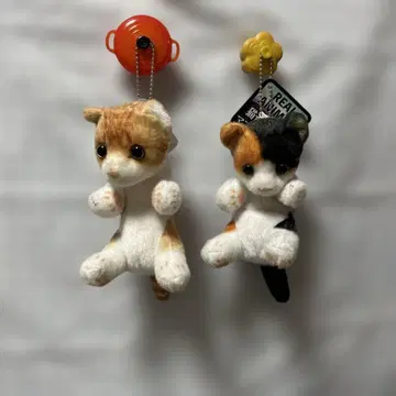 리얼 애니멀 고양이 꼬집기 마스코트 BC 2종