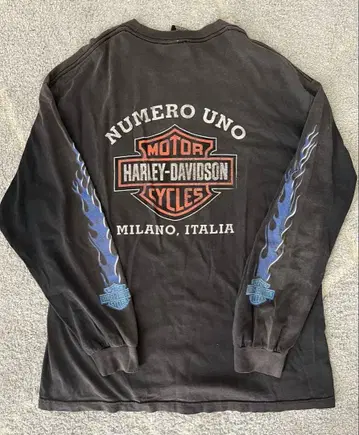 할리 데이비슨 블루 프레임 XL