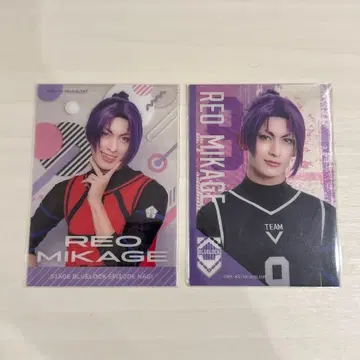 블루 스케치 에피 클리어 카드 레오