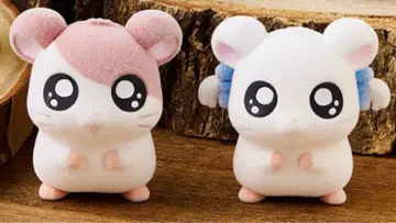 꼬마햄찌 해모 해모 리본