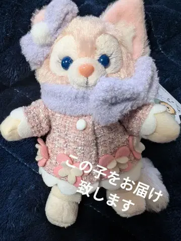 리나벨 시크릿 오브 스노위 데이 누이바