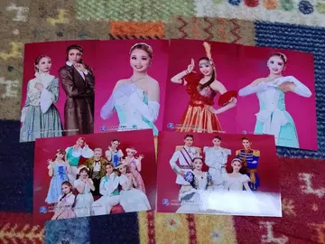 브로마이드 세트