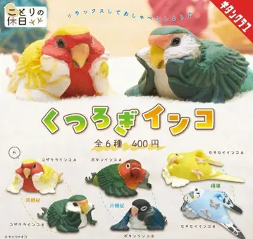 새의 휴일 편안한 잉꼬 전 6종 컴프 키탄클럽