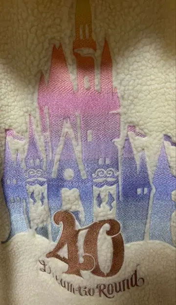 도쿄 디즈니 리조트 40주년 기념 플리스 후드티 M~L 택 포함 새상품