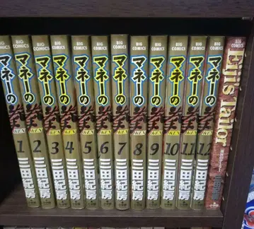 머니의 주먹 1~12권+1권