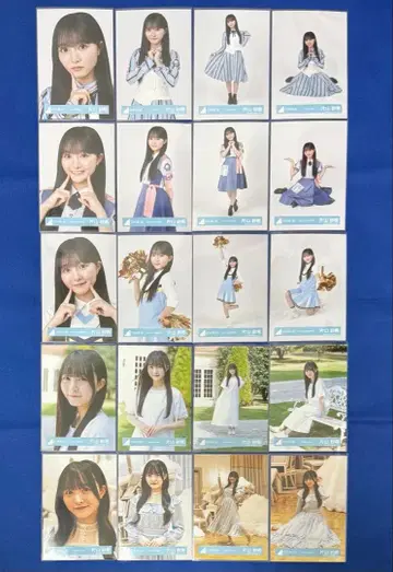 히나타자카46 5기생 신참자 신종 가타야마 사키 20종 컴프