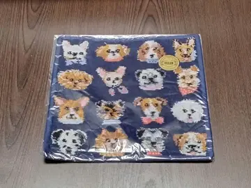 10일까지 한정판 페이러 도기