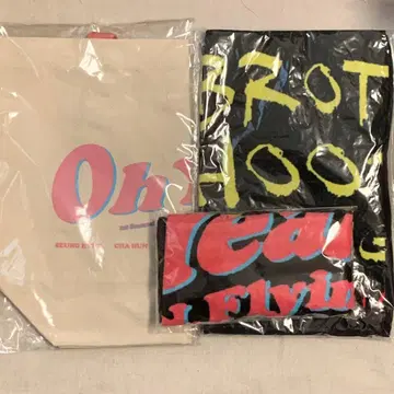 N.Flying 에플라 굿즈 토트백 타월
